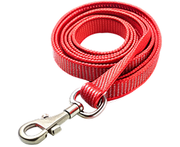 Dog Belt