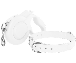 White Belt